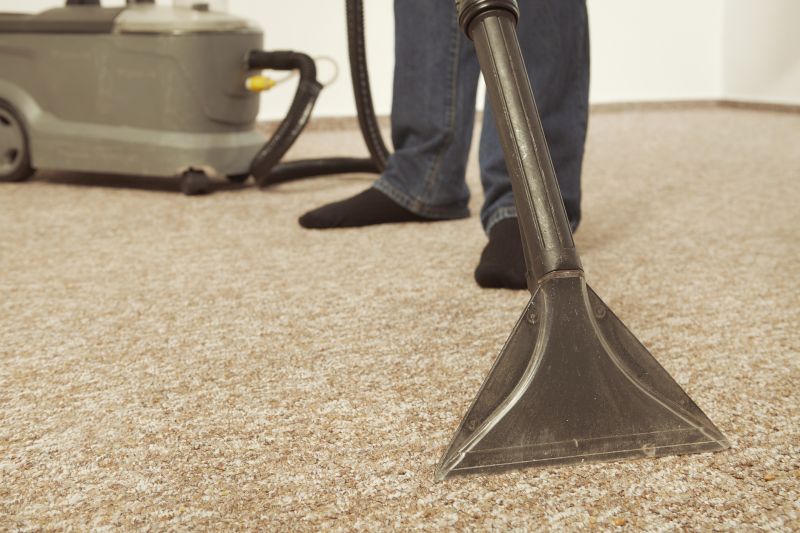 Deep Carpet Cleaning Process
